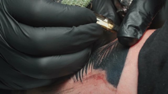 Video of tattooist getting black tattoo of snake in studio