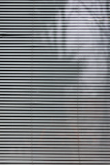 abstract striped background of window blinds