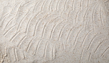 Barley integral flour background and texture