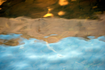 reflection in waterreflexes in the seaeye of a horse, flowers at closeup, makro, närbild, sweden, stockholm, nacka, sverige