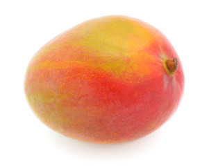 Mango fruit isolated.