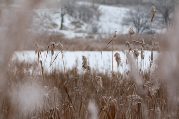 winter landscape with river