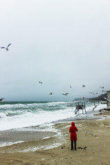 woman feeds seagulls on the beach in the storm