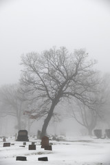 foggy morning winter snow landscape