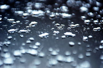 abstract backgroundeye of a horse, flowers at closeup, makro, närbild, sweden, stockholm, nacka, sverige