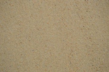 Coastal sand surface texture