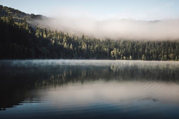 Moody landscape with morning fog in the forest lake. Nature misty wallpaper. 