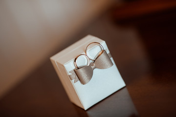Wedding rings on a white box with a butterfly. Details. Groom's morning. Wedding accessories. Wedding rings