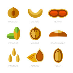 Collection of nuts in flat style. Set of nine nuts. Vector illustration. Trendy design. White background isolated
