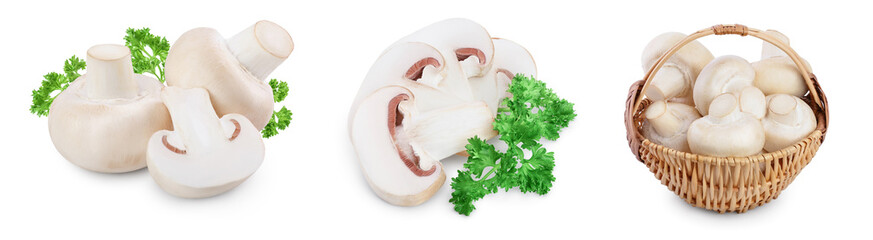 Fresh mushrooms champignon isolated on white background with clipping path and full depth of field. Set or collection