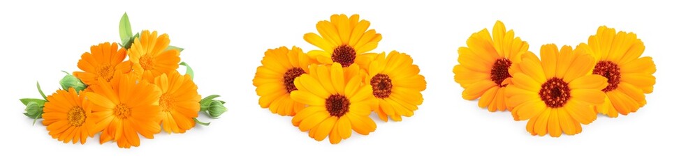 Calendula. Marigold flower with leaves isolated on white background. Set or collection