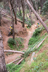 a group of cyclists through the forest near Malaga city, Spain