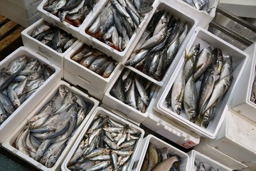 Billingsgate Market, London