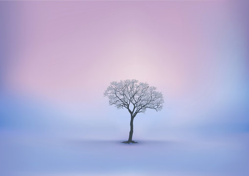 Saison d'hiver avec un lever du jour sur un paysage enneigé et un arbre sans feuille comme unique décor.