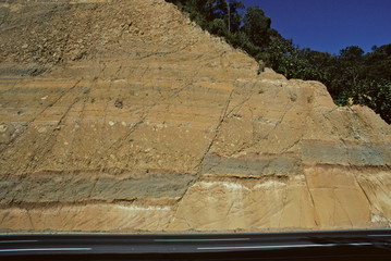 Normal fault offsetting beds (~12’) exposed in road cut along  highway between Guatemala City and...