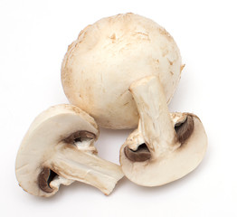 fresh champignons on a white isolated background close-up