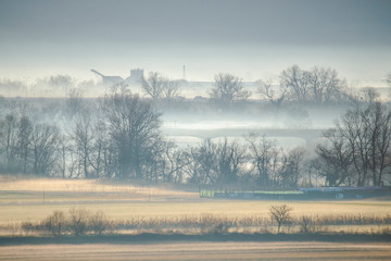 Morning fog