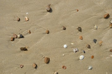 Texture of coastal sand with pebbles