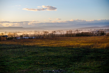 Morning fog