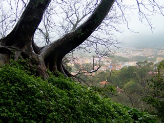historical unesco site sintra in portugal