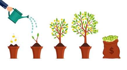 Money tree growing process. Financial growth concept. Dollar investment in business. Hand watering growing money plant with bitcoin. Financial green tree on isolated background. vector illustration.