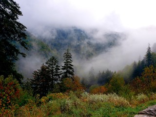 Smoky Mountains