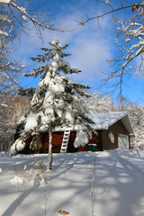 Snowy winter Wisconsin countryside landscape. Scenic winter morning landscape with building between trees covered by fresh snow and bright blue color sky with clouds after heavy snowfall. Midwest USA.
