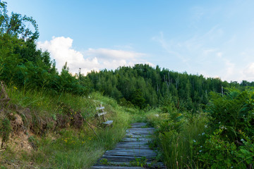 Scenic forest landscape. View of a wooden walkway and a lonely bench among fresh summer greenery. Eco path in the Rhodope Mountains, Bulgaria. Hiking, vacation, eco tourism concept.