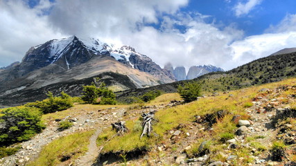 Fototapeta na wymiar Weg zu den Torres del Paine