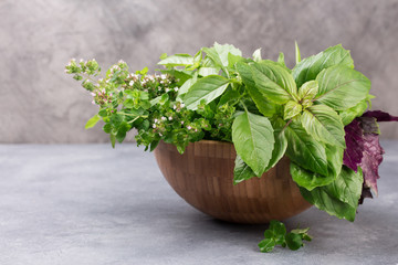 Aromatic herbs bunch, basil, mint and oregano
