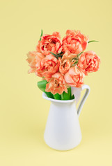 Fresh yellow double early tulip flowers bouquet in front of yellow background.