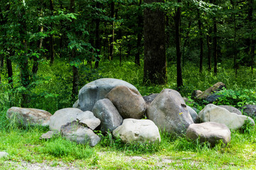 Obraz premium Nature background in a summer day with a lot of stones.