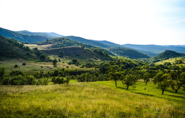 Fototapeta na wymiar Landscape of a beautiful hills covert in green and a sunny sky, Hateg, Romania