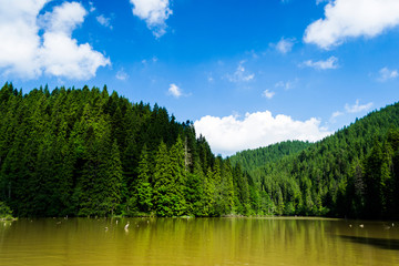 Obraz premium Red Lake (also known as Lake Ghilcoş or the Killer lake) is a natural dam lake formed following the collapse of a slope due to an earthquake.