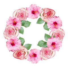Beautiful floral circle of pink hibiscus and roses. Isolated