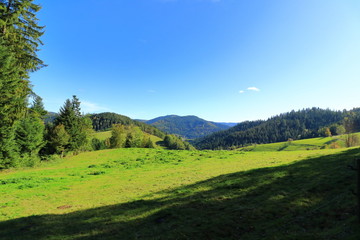 Schwarzwaldpanorama