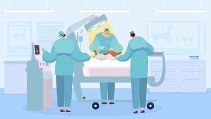 Surgeon performing operation, dog in veterinary clinic, vector illustration