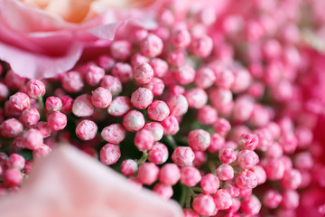 Small pink flower buds in a bouquet close-up - 318668795