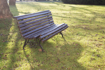 Wrought iron bench in the park on a sunny day