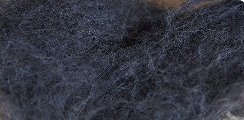 Obraz premium gray Raw wool, ready for manufacturing
