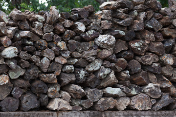 Stack of Petrified Wood