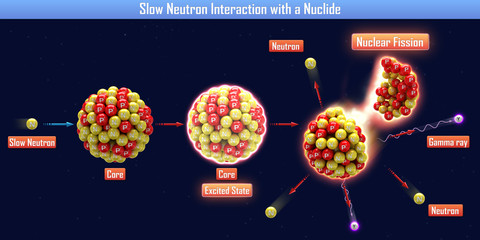 Slow Neutron Interaction with a Nuclide (3d illustration)