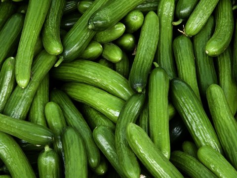 Full Frame Shot Of Cucumbers For Sale In Market