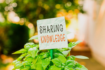 Word writing text Sharing Knowledge. Business photo showcasing knowledge is exchanged among showing...