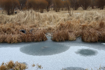 The frozen mouth of the river. Ice on water and dried tall grass on the field