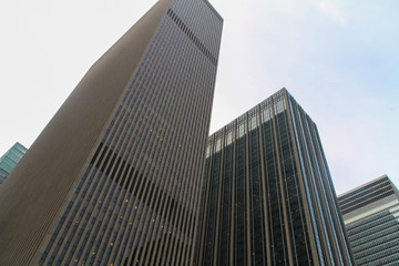 Fototapeta premium 2