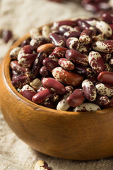 Raw Red Organic Cattle Beans