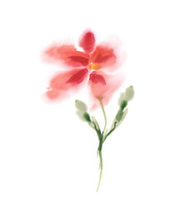 Fototapeta na wymiar Watercolor Flowers. Hand Painted Illustration.