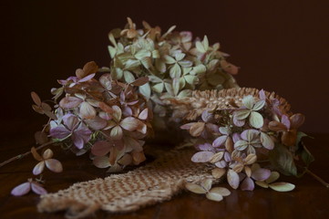 Beautiful background with withered hydrangea flowers