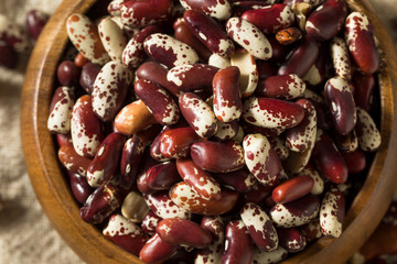 Raw Red Organic Cattle Beans